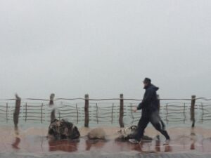 ssconlluvia